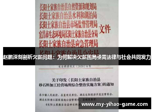 赵鹏深刻剖析欠薪问题：为何解决欠薪困局亟需法律与社会共同发力